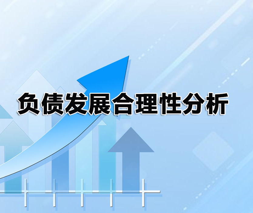 项目运营及未来收益综合分析报告