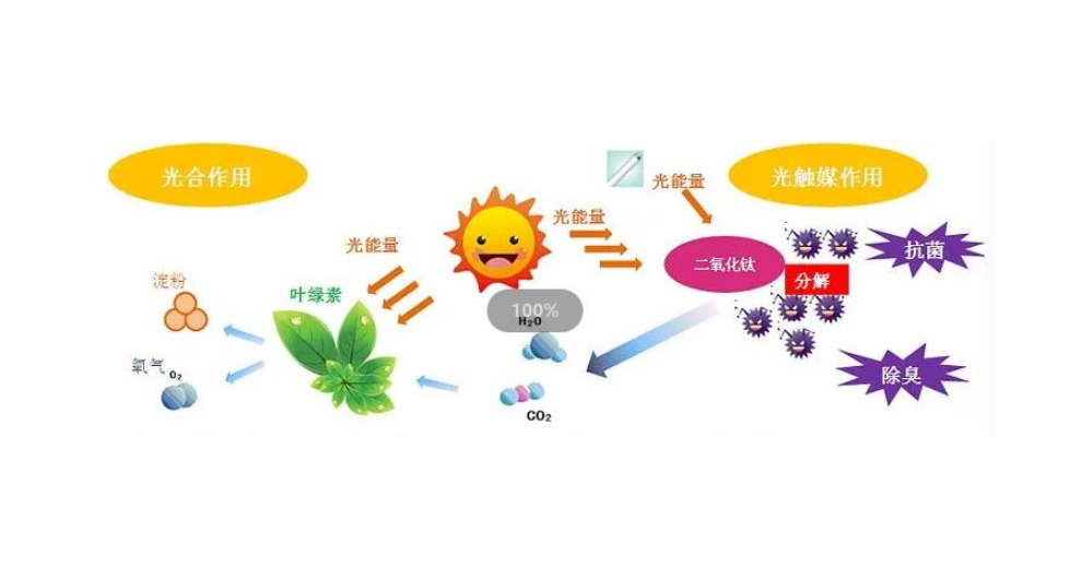 重庆光触媒的净化器,光触媒