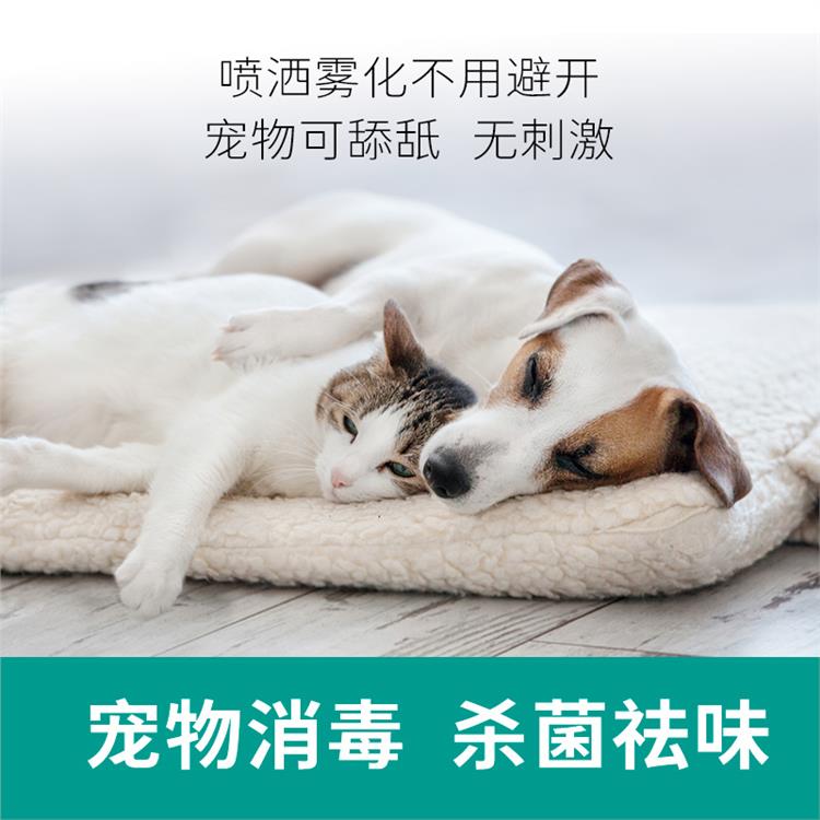 銅陵環(huán)保消毒劑型號