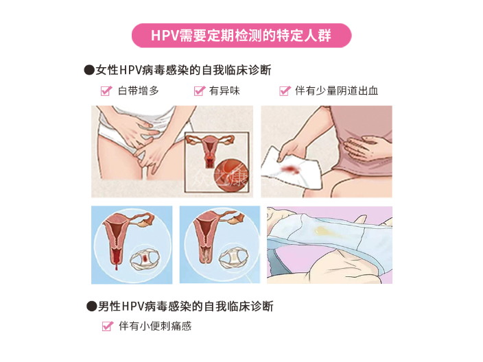 浙江妇科HPV检测仪,HPV