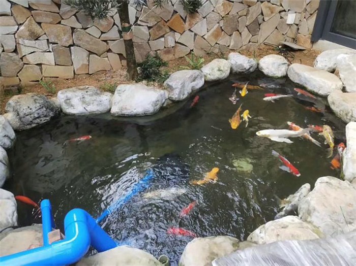 小型錦鯉魚池過濾器-奧利仕-錦鯉魚池過濾器