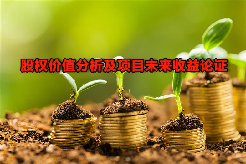 融资性驱动价值及资金安全管理实施细则