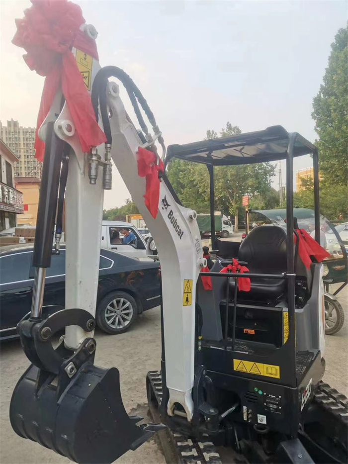 鄭州進口微型挖掘機品牌