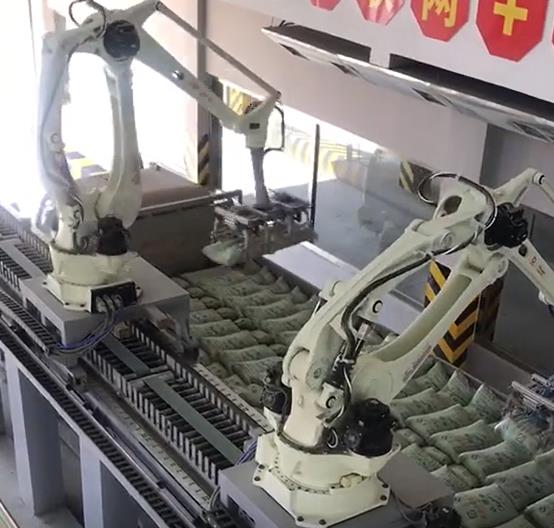 自動裝卸車碼垛機器人本體代理供應 帕斯科山東
