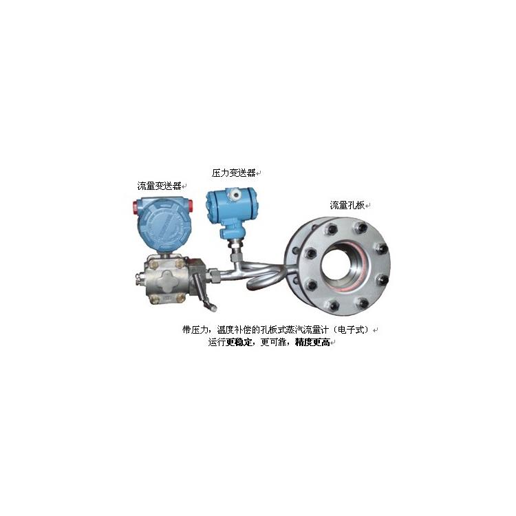 麗水蒸汽流量計廠商 插入式流量計生產商