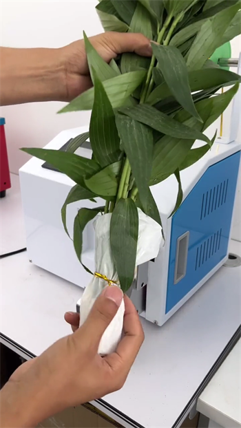 重慶全自動扎線機品牌