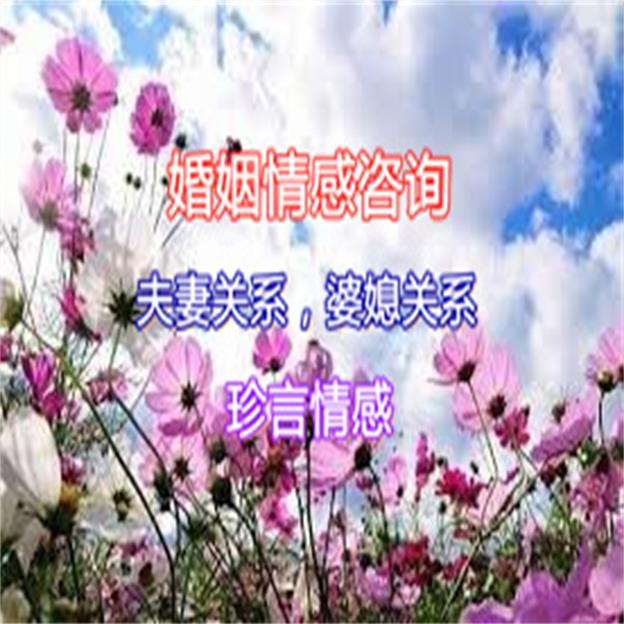 河南洛阳市老城区情感咨询公司