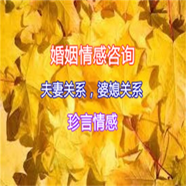 河南洛阳市老城区情感咨询公司 婚姻咨询中心 珍言情感