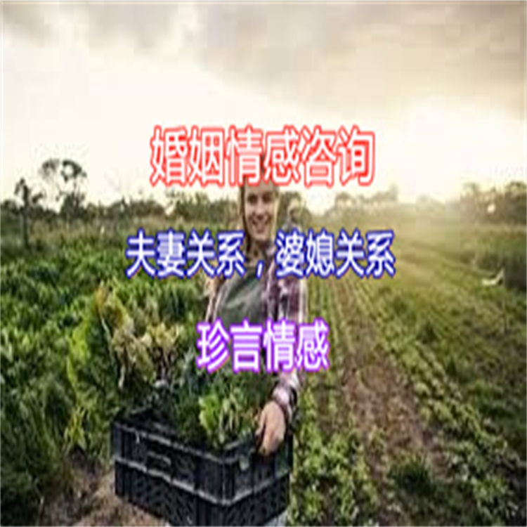 广东广州越秀区情感咨询找珍言情感