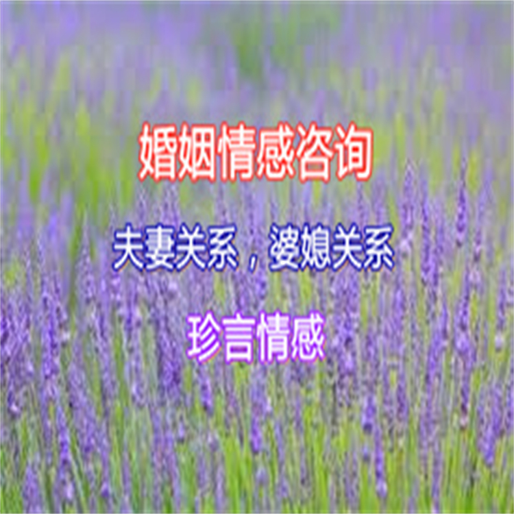 湖南株洲情感婚姻咨询