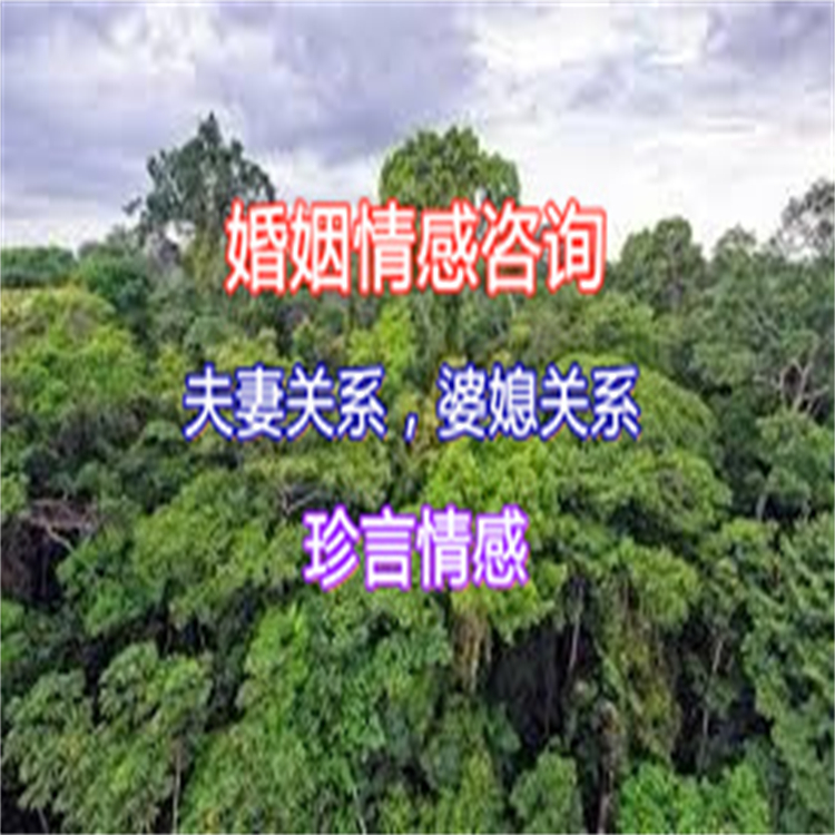 海南文昌市婚姻挽救咨询