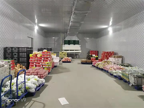 河南鮮花冷庫安裝設計