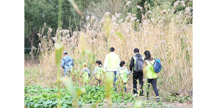 浙江游玩夏令營哪家專業 樹修教育培訓中心供應