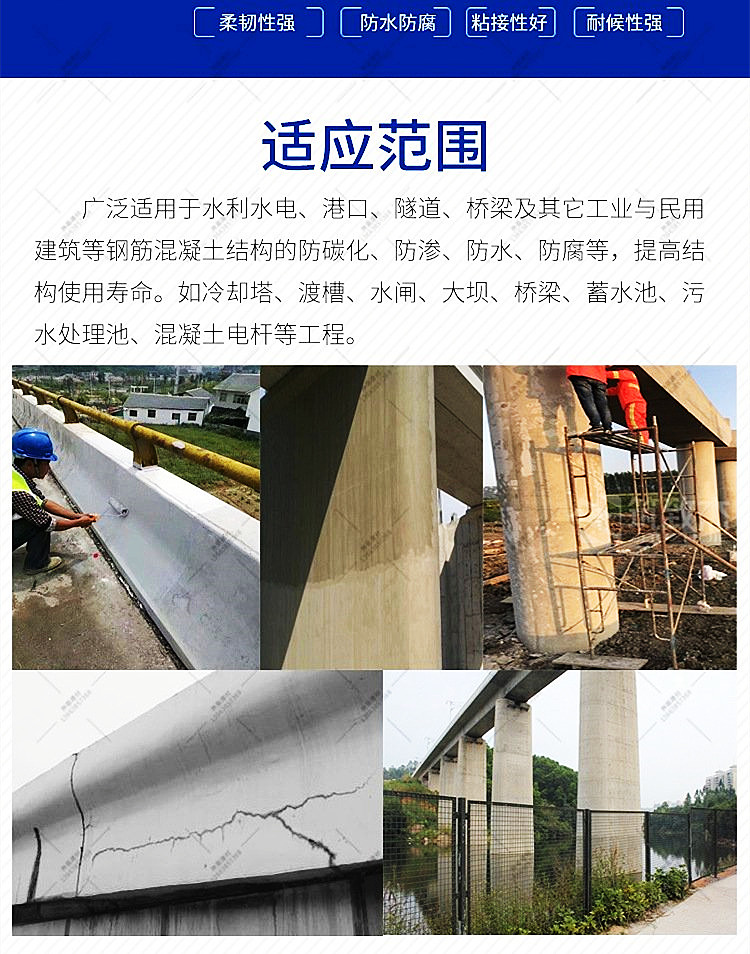 山东喷涂型混凝土防碳化涂料销售价格/电话