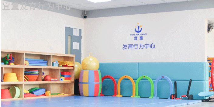 河北輕度自閉癥 歡迎咨詢 天津宜童健康咨詢供應