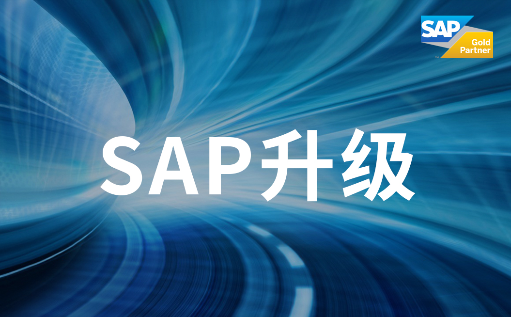 SAP系统升级 SAP ERP软件售后升级服务商 SNP公司