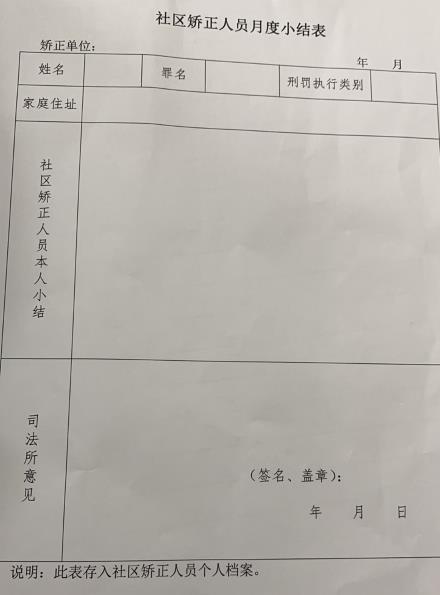 600字社区矫正对象考察表月报