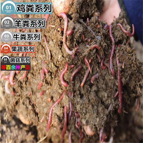發酵羊糞廠家 連云港 草炭土