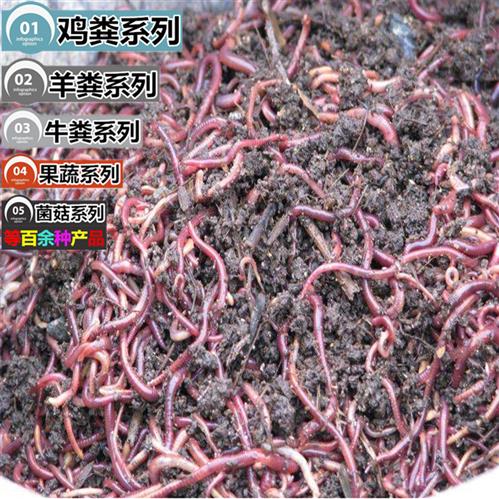 顆粒羊糞廠 蓮藕用肥 農家肥