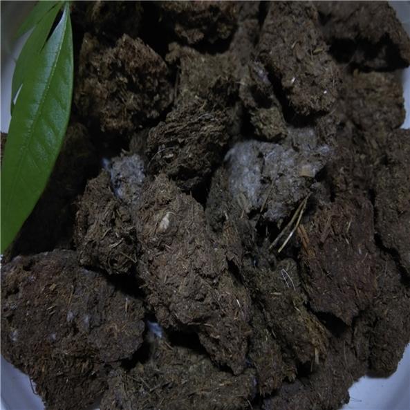 發酵羊糞廠家 南寧 綠化工程肥