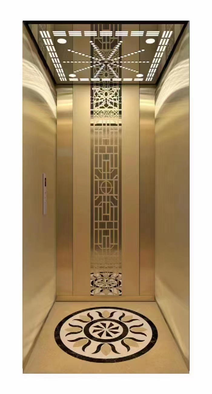 家用復式別墅室內2層小型無障礙曳引無地坑電梯