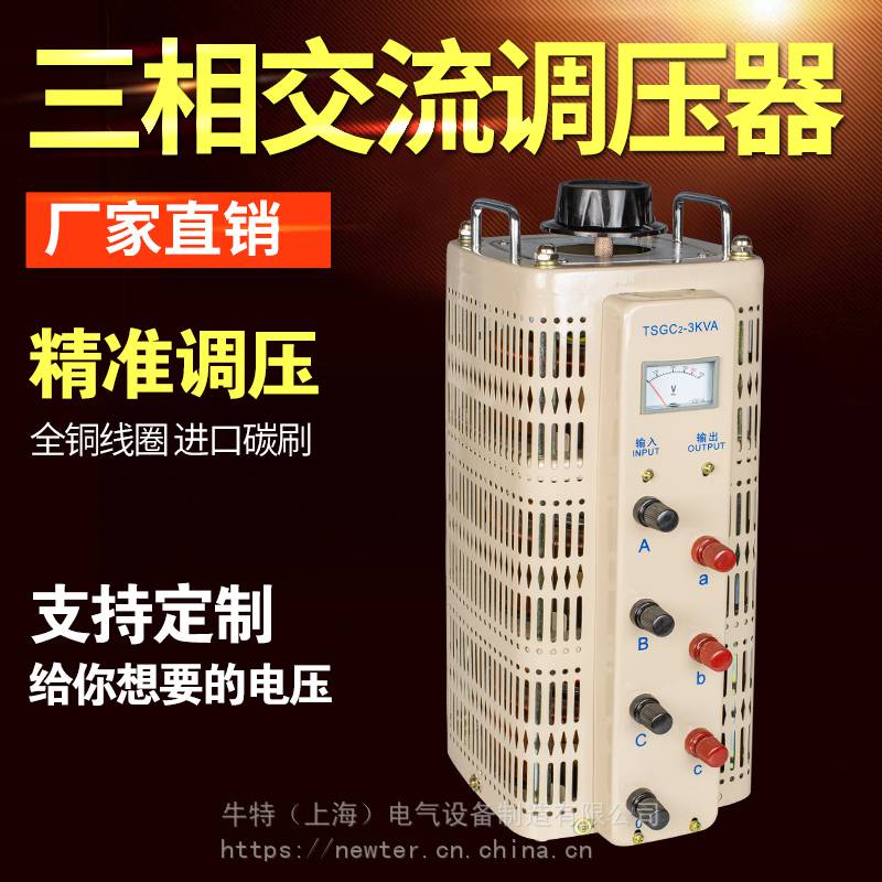 TDGC2-3KVA 输入电压220V 输出电压0-250V300v500v接触式调压器