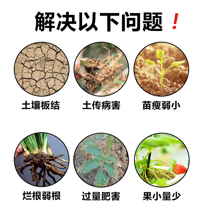 颗粒微生物菌肥 添加复合芽孢杆菌 淡紫拟青霉