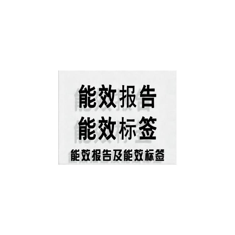 价格合理 双端荧光灯DOE菲律宾能效认证材料