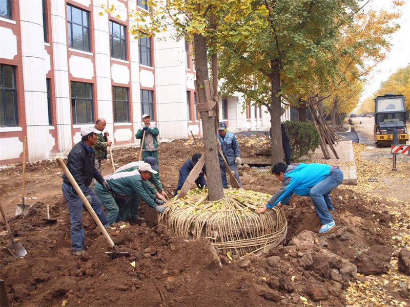 西宁建筑工程造价公司