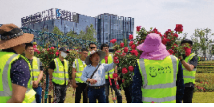 秋季公園管養標準 江蘇久智環境科技服務供應