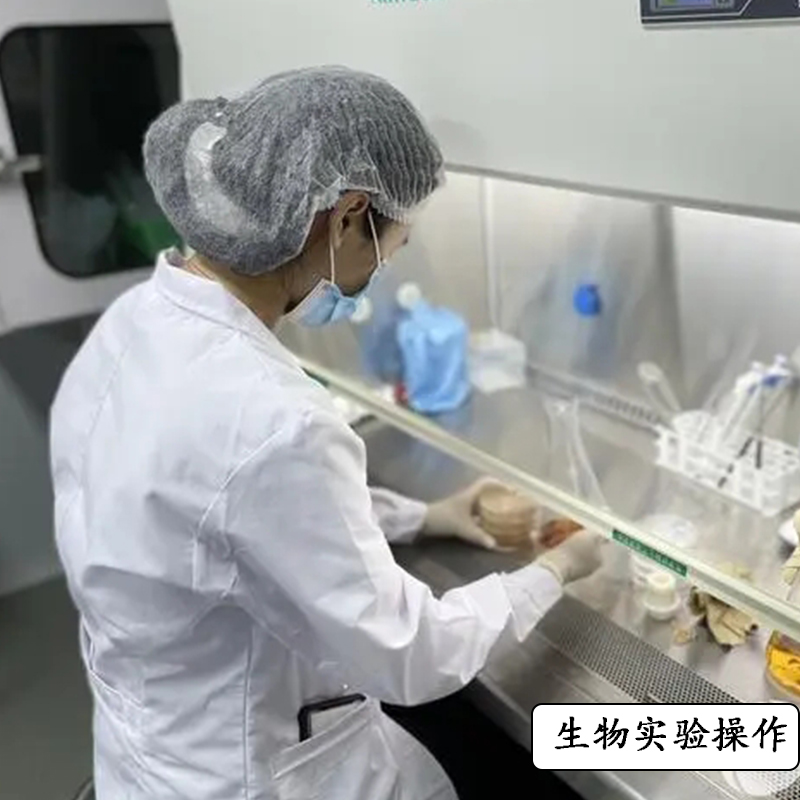 连云港实验室生物安全柜供应商