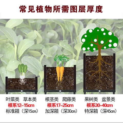 日照宝利塑料种植箱 置物筐