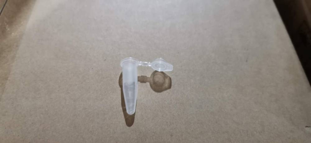 43520 海貍 PCR8聯管，0.2 mL，透明，高管，無蓋 125/盒,10盒/箱