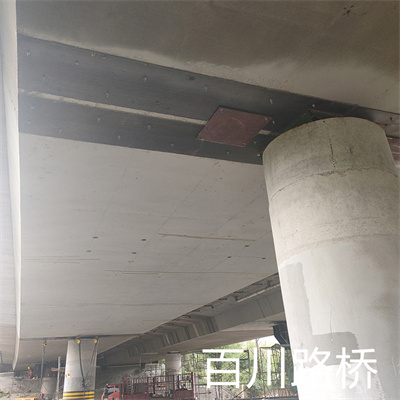 河南汝州公路桥梁隧道钢板加固施工