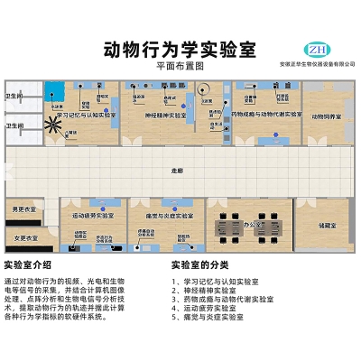 檢測鼠 機能實驗室整體解決方案，動物行為學實驗室