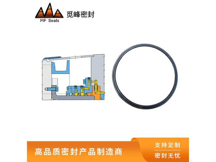 半导体密封圈生产厂家 宁波觅峰密封科技供应