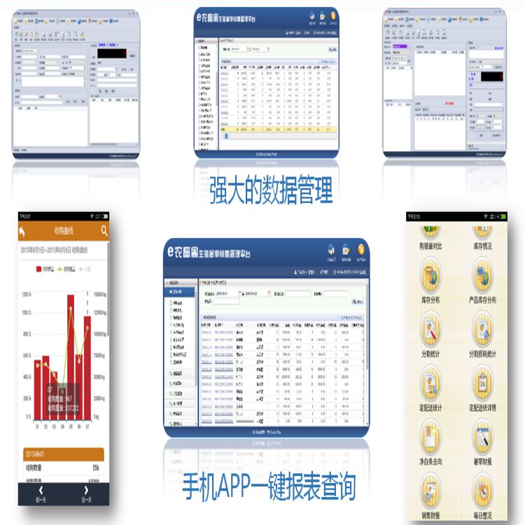 舟山屠宰物管理軟件供應(yīng)