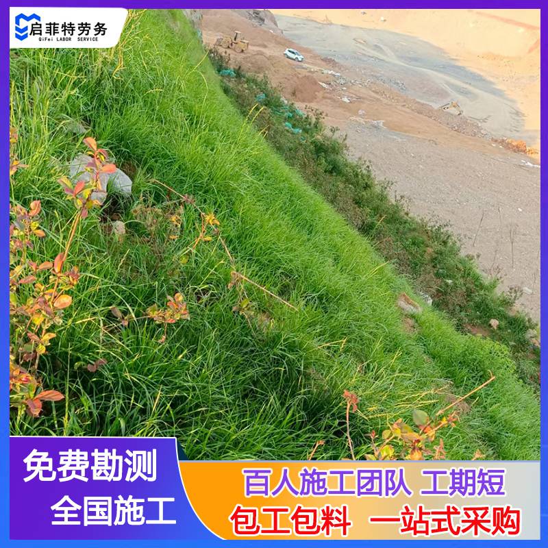 山坡挂网客土喷播勾花网边坡植草绿化承接坡面喷浆修复工程