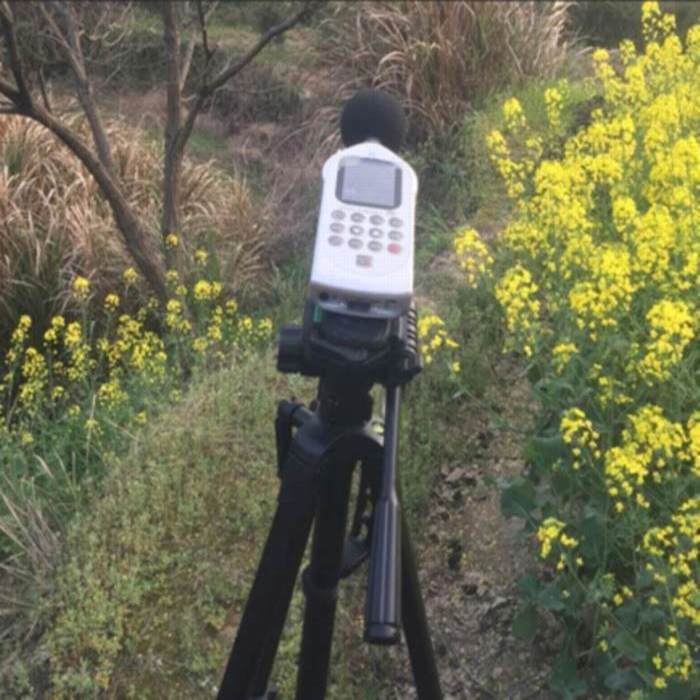 变压器噪声检测