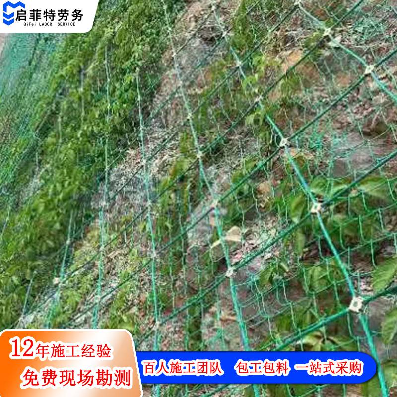 承接客土噴播勾花網山坡復綠噴漿勾花網鍍鋅客土噴播