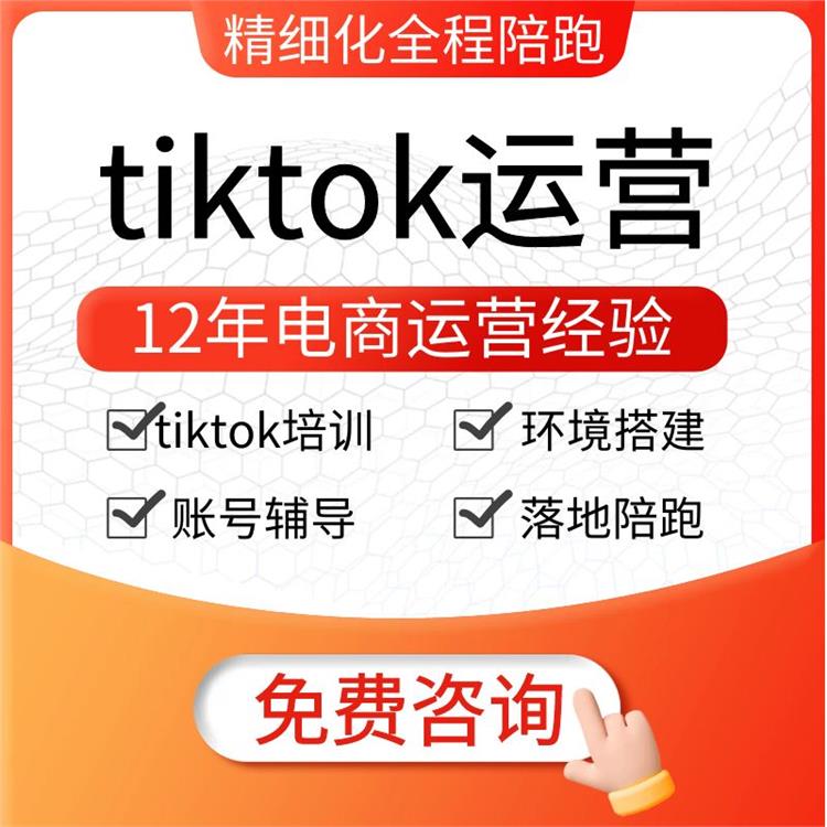 滨州精细化tiktok运营正规代运营公司