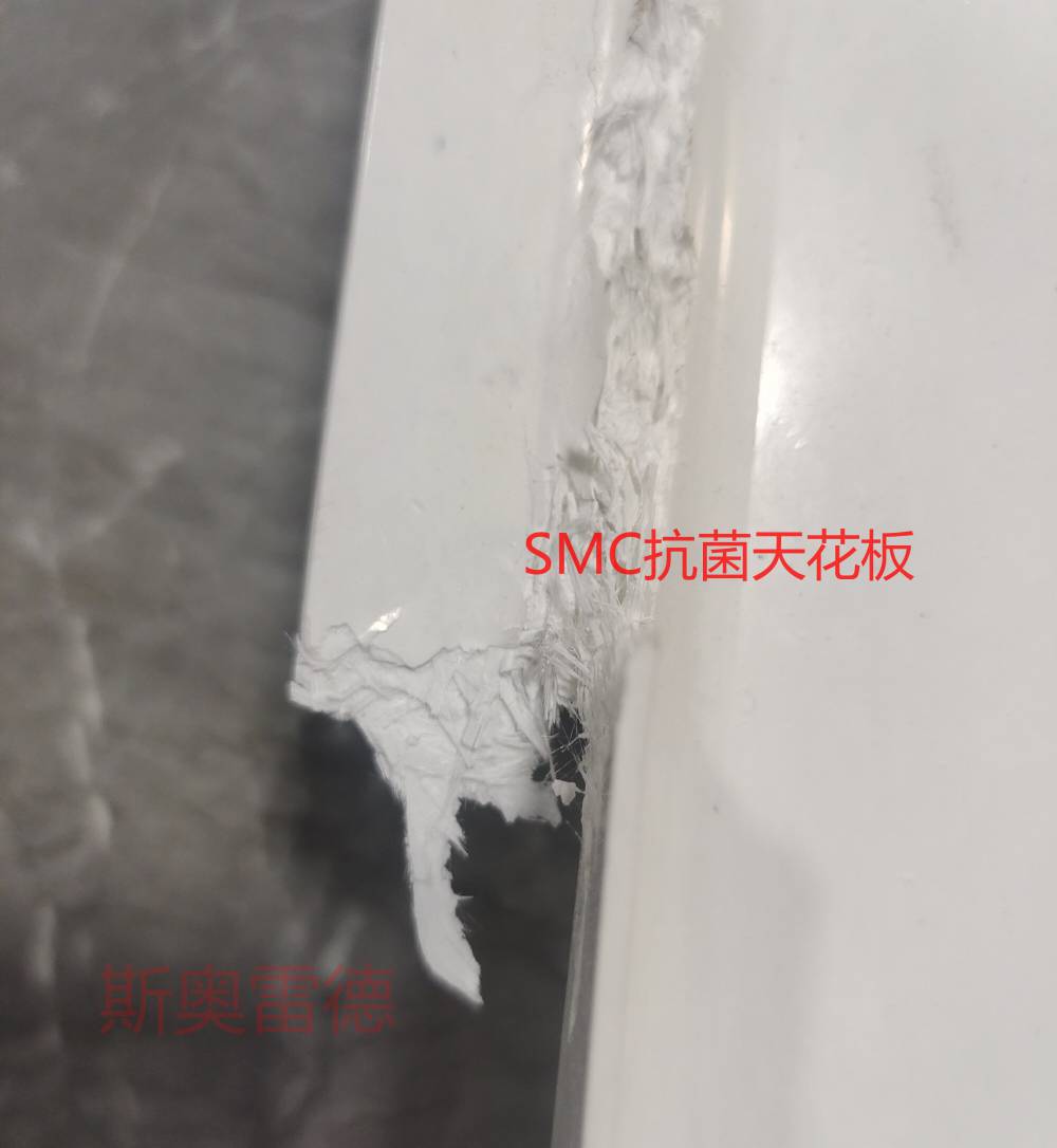 斯奥雷德强度高SMC抗菌天花板吊顶 诚信经营