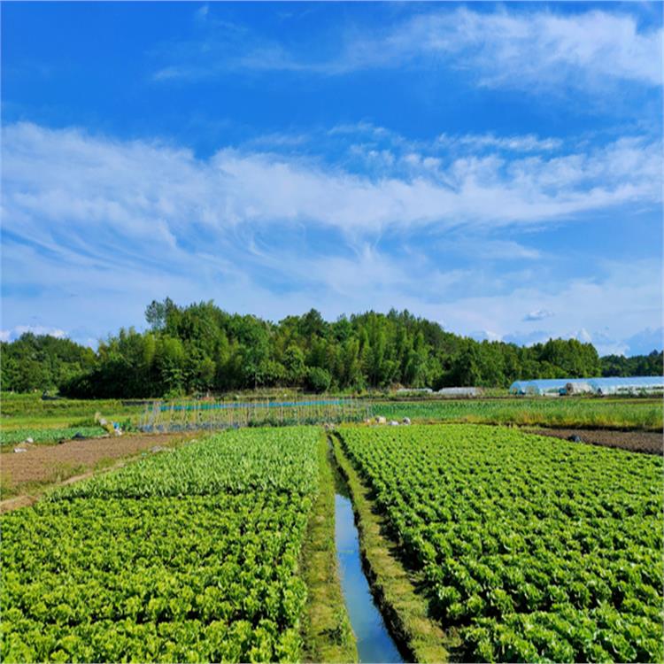 从农田到餐桌 节省时间  品种丰富 石碣镇食材配送