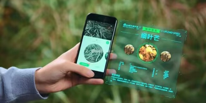 揭秘智慧公園的系統(tǒng) 江蘇久智環(huán)境科技服務(wù)供應(yīng)