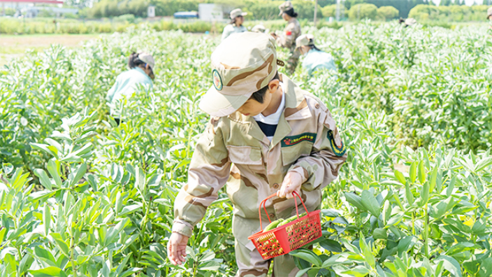 上海叛逆孩子軍訓夏令營收費標準 歡迎來電 西點企業管理咨詢公司供應