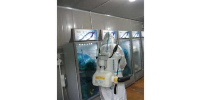黃浦區大巴車滅蟑螂 上海禎如除害服務供應