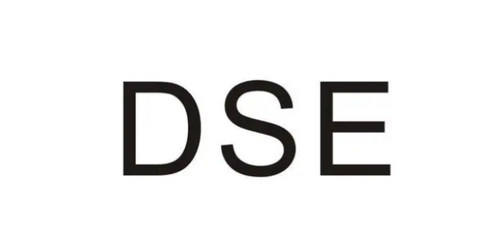 中國香港DSE課外輔導培訓學費 深圳市福田區名師塾培訓供應