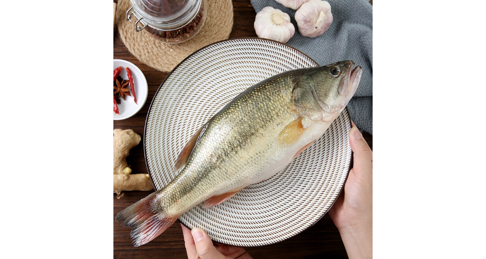 番禺區桂花魚供應廠家排名 廣州融漁品牌管理供應