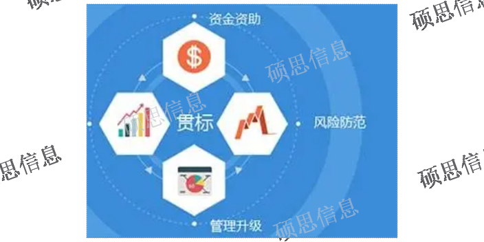 北京運行GB/T29490有哪些 CMMI周期短 江蘇碩思信息供應