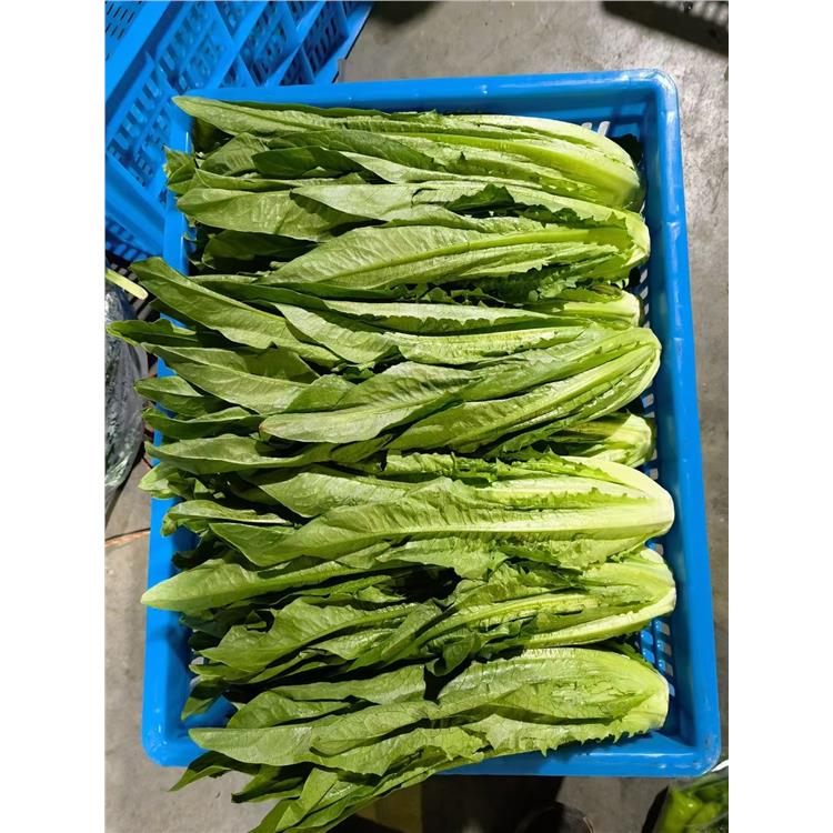 學校蔬菜糧油配送電話 干凈衛(wèi)生 能滿足不同菜品的需求
